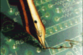 firma digitale